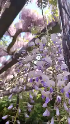 相馬神社(北海道)