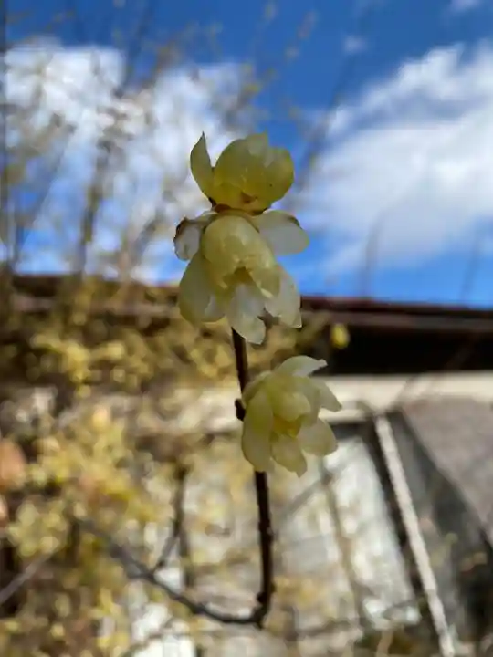 黒田原神社(栃木県)