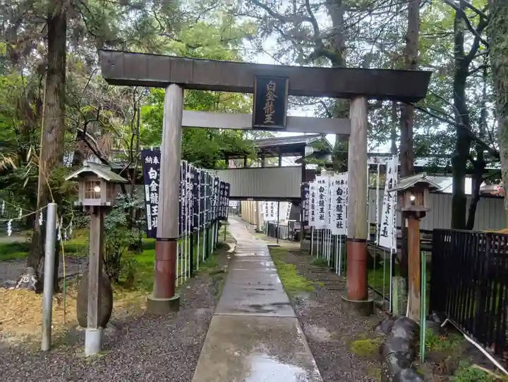 白金龍王社(愛知県)