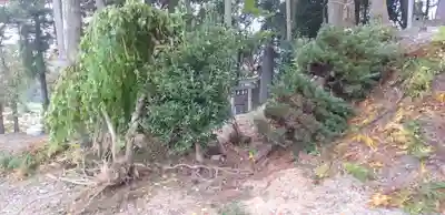 阿久津「田村神社」（郡山市阿久津町）旧社名：伊豆箱根三嶋三社のその他建物