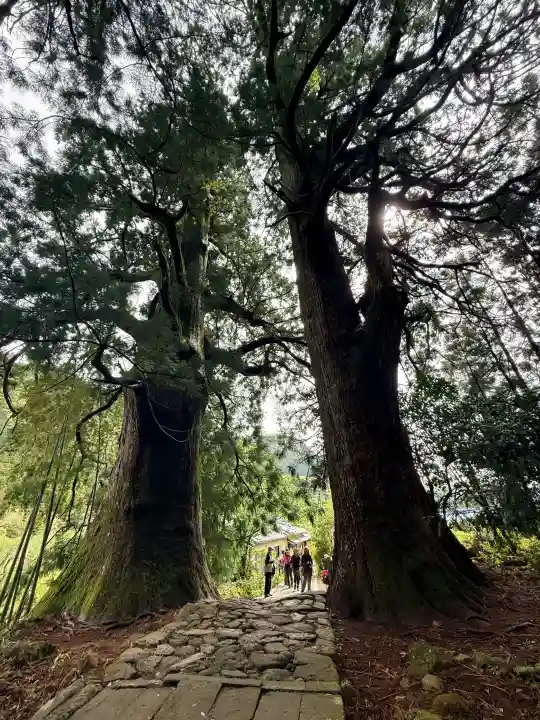 熊野那智大社の{uncategorized: "未分類", other: "その他", undefined: "問題あり", building: "その他建物", grave: "お墓", sacred_gate: "鳥居", guardian: "狛犬", statue: "像", buddha: "仏像", history: "歴史", nature: "自然", garden: "庭園", animal: "動物", pagoda: "塔", temizu: "手水舎", mountain_gate: "山門・神門", sanctuary: "本殿・本堂", subordinate: "末社・摂社", art: "芸術", scenery: "景色", jizo: "地蔵", ema: "絵馬", goshuin: "御朱印", omikuji: "おみくじ", items: "授与品その他", amulet: "お守り", goshuincho: "御朱印帳", eats: "食事", festival: "お祭り", votive_dance: "神楽", shichigosan: "七五三参", wedding: "結婚式", experience: "体験その他", initially: "初詣", around: "周辺", anti_infection: "感染症対策"}
