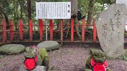 息栖神社の狛犬