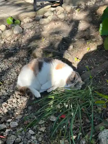 かっぱの寺 栖足寺(静岡県)