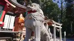 薬師寺八幡宮の狛犬
