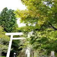 土津神社|こどもと出世の神さまの鳥居