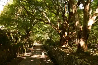 両子寺(大分県)