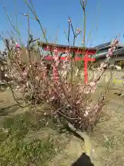 天神社(埼玉県)