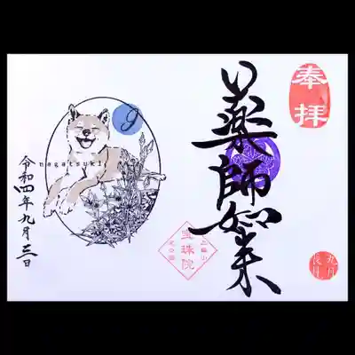 見開き月替り御朱印は、「柴犬とセンブリ(千振)」。
柴犬がいい笑顔です😄