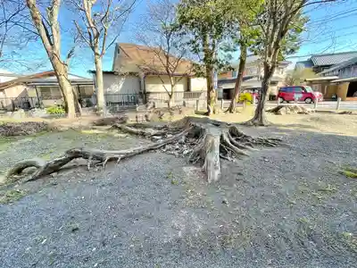 八幡神社(滋賀県)