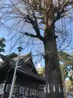長濱神社(大分県)