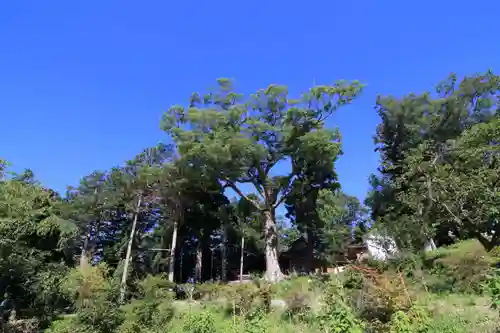 阿久津「田村神社」（郡山市阿久津町）旧社名：伊豆箱根三嶋三社の庭園