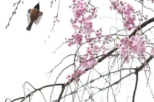 伊勢の国 四天王寺(三重県)