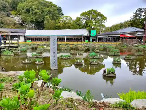 太宰府天満宮の庭園