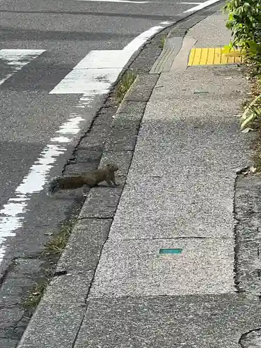 明月院(神奈川県)