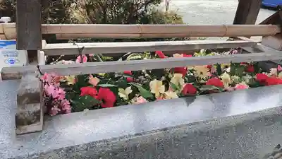 豊景神社の手水舎