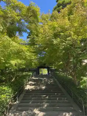 円覚寺(神奈川県)