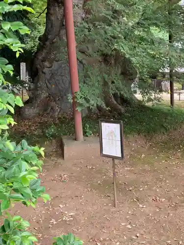 高源寺(茨城県)