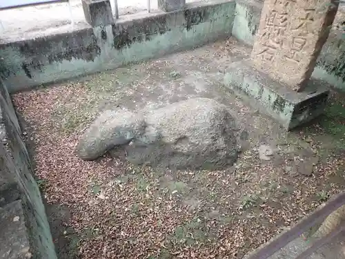 住吉神社の狛犬