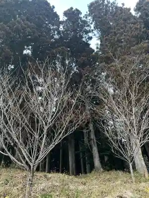 大宮温泉神社(栃木県)
