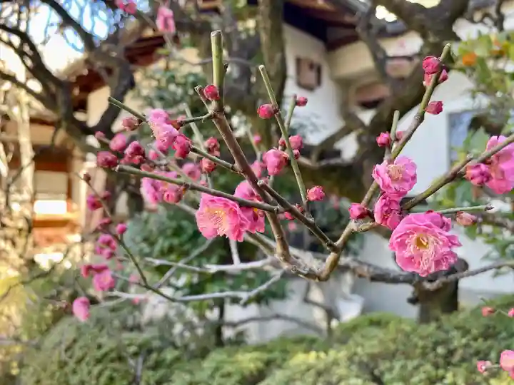 金藏院(東京都)