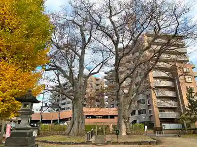 熊野神社(山形県)
