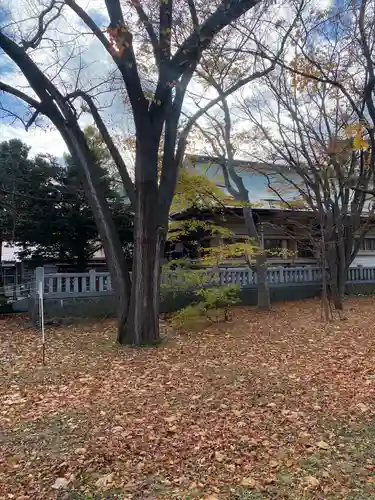 彌彦神社　(伊夜日子神社)の自然