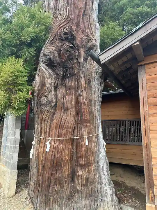 勝山八幡神社(山梨県)