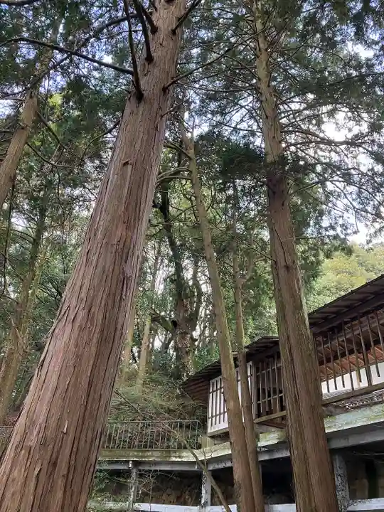 伊萬里神社(佐賀県)