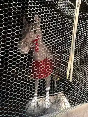 久能山東照宮(静岡県)