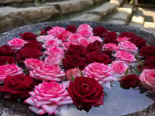 丹生都比売神社の手水舎