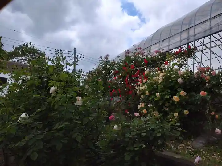 艫神社(茨城県)