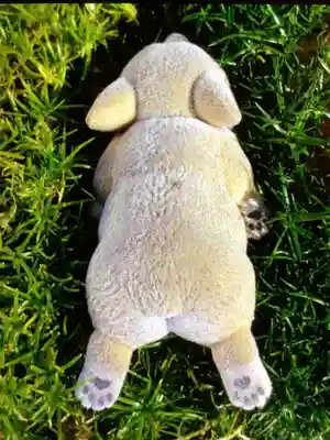 高円寺氷川神社(東京都)