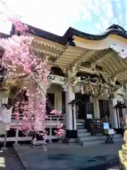 武雄神社の本殿