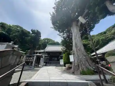 西徳寺(神奈川県)