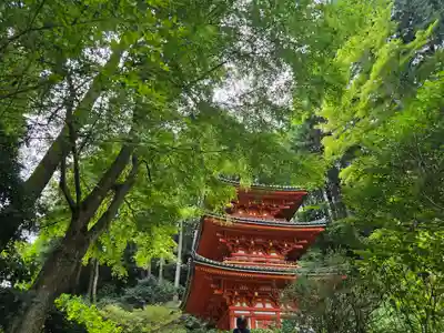 岩船寺(京都府)