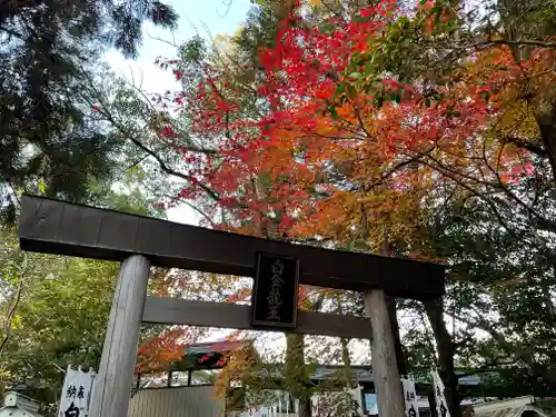 若宮神明社の鳥居