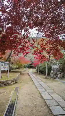 勝持寺（花の寺）(京都府)