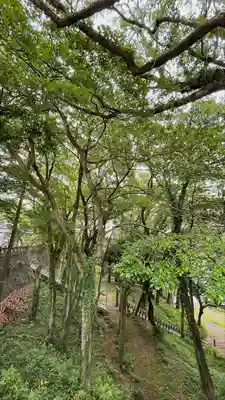 福母八幡宮の自然