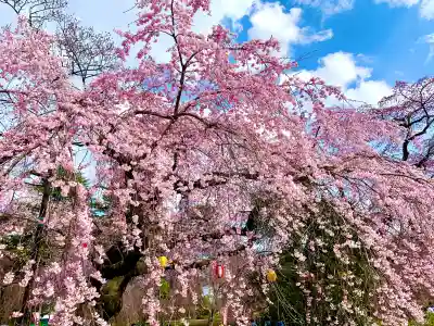 榴岡天満宮の{uncategorized: "未分類", other: "その他", undefined: "問題あり", building: "その他建物", grave: "お墓", sacred_gate: "鳥居", guardian: "狛犬", statue: "像", buddha: "仏像", history: "歴史", nature: "自然", garden: "庭園", animal: "動物", pagoda: "塔", temizu: "手水舎", mountain_gate: "山門・神門", sanctuary: "本殿・本堂", subordinate: "末社・摂社", art: "芸術", scenery: "景色", jizo: "地蔵", ema: "絵馬", goshuin: "御朱印", omikuji: "おみくじ", items: "授与品その他", amulet: "お守り", goshuincho: "御朱印帳", eats: "食事", festival: "お祭り", votive_dance: "神楽", shichigosan: "七五三参", wedding: "結婚式", experience: "体験その他", initially: "初詣", around: "周辺", anti_infection: "感染症対策"}
