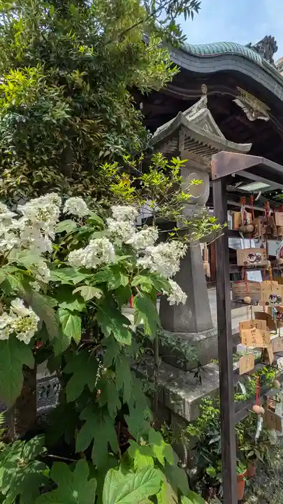 元祇園梛神社・隼神社(京都府)
