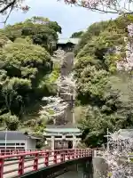 須賀神社の{uncategorized: "未分類", other: "その他", undefined: "問題あり", building: "その他建物", grave: "お墓", sacred_gate: "鳥居", guardian: "狛犬", statue: "像", buddha: "仏像", history: "歴史", nature: "自然", garden: "庭園", animal: "動物", pagoda: "塔", temizu: "手水舎", mountain_gate: "山門・神門", sanctuary: "本殿・本堂", subordinate: "末社・摂社", art: "芸術", scenery: "景色", jizo: "地蔵", ema: "絵馬", goshuin: "御朱印", omikuji: "おみくじ", items: "授与品その他", amulet: "お守り", goshuincho: "御朱印帳", eats: "食事", festival: "お祭り", votive_dance: "神楽", shichigosan: "七五三参", wedding: "結婚式", experience: "体験その他", initially: "初詣", around: "周辺", anti_infection: "感染症対策"}