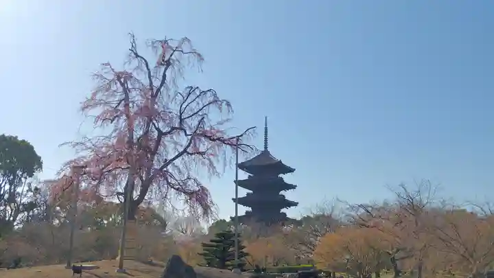 東寺(教王護国寺)のその他建物