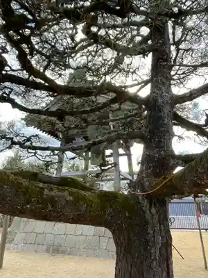 本福寺(滋賀県)