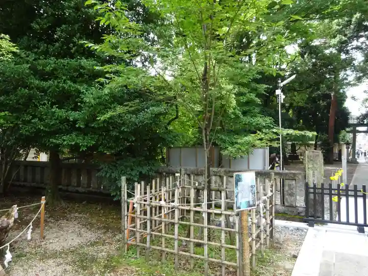 布多天神社の自然