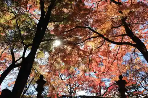 三春大神宮の自然