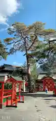 太皷谷稲成神社の庭園