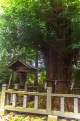 伊達神社(宮城県)