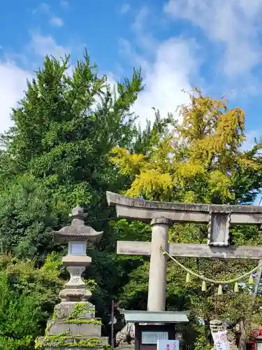 神炊館神社 ⁂奥州須賀川総鎮守⁂の鳥居