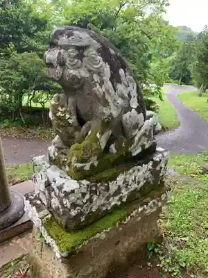 熊野神社の狛犬