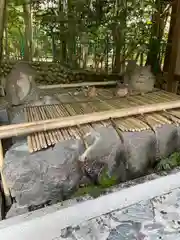 椿大神社の手水